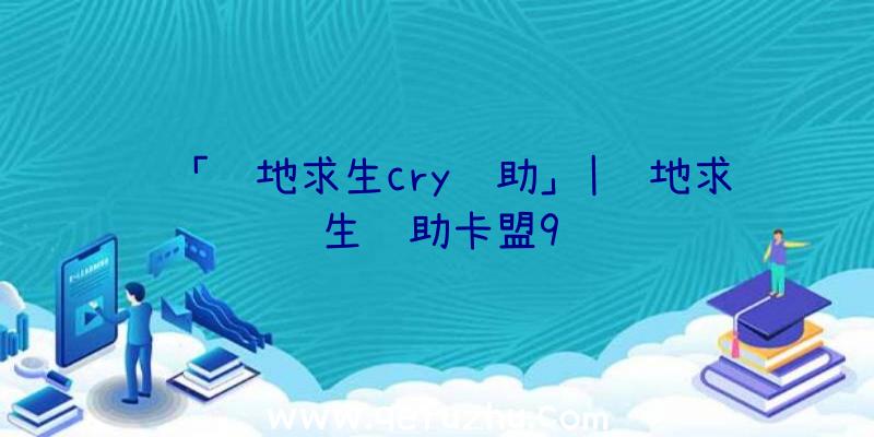 「绝地求生cry辅助」|绝地求生辅助卡盟9